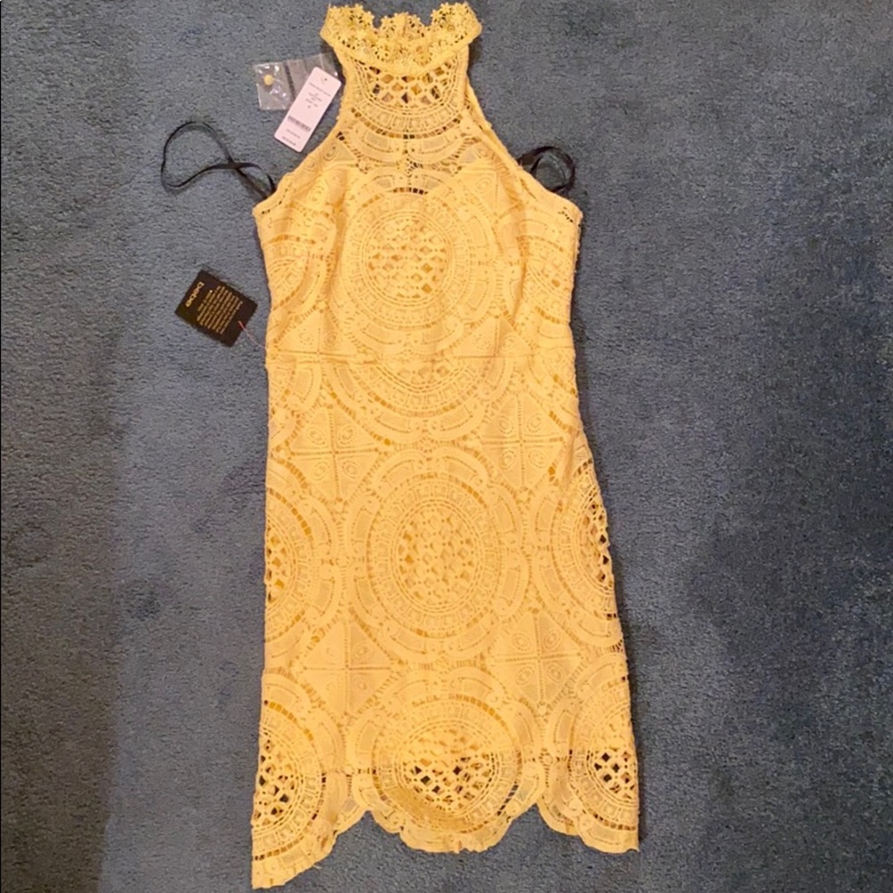 Bebe Vanessa Crochet High Neck Dress